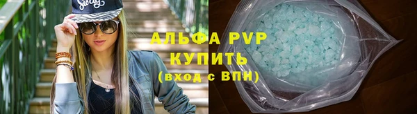 крисы Кодинск