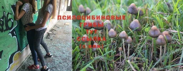 крисы Кодинск