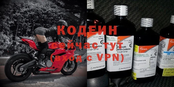 крисы Кодинск