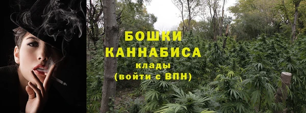 винт Коряжма