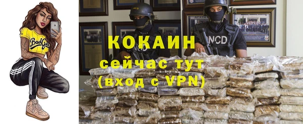 крисы Кодинск