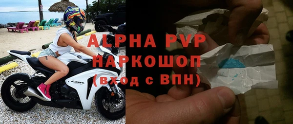 крисы Кодинск