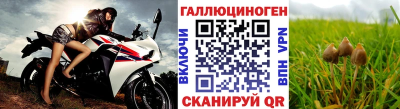 Псилоцибиновые грибы ЛСД  Купить где  Николаевск 